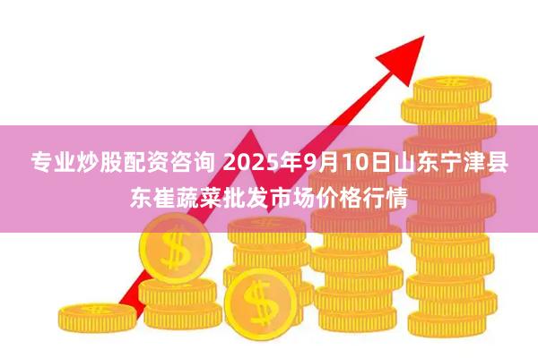 专业炒股配资咨询 2025年9月10日山东宁津县东崔蔬菜批发市场价格行情