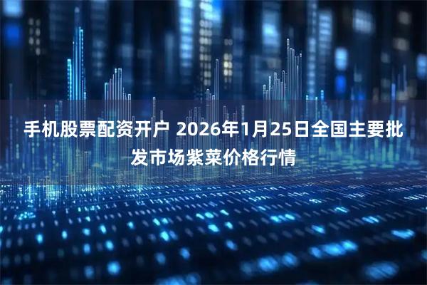 手机股票配资开户 2026年1月25日全国主要批发市场紫菜价格行情